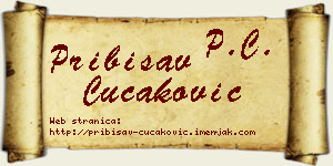 Pribisav Čučaković vizit kartica